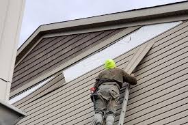 Best Siding Painting and Refinishing  in Rutherford, TN